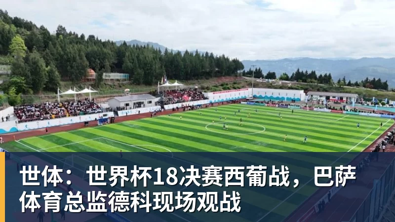 米兰体育世体：世界杯18决赛西葡战，巴萨体育总监德科现场观战